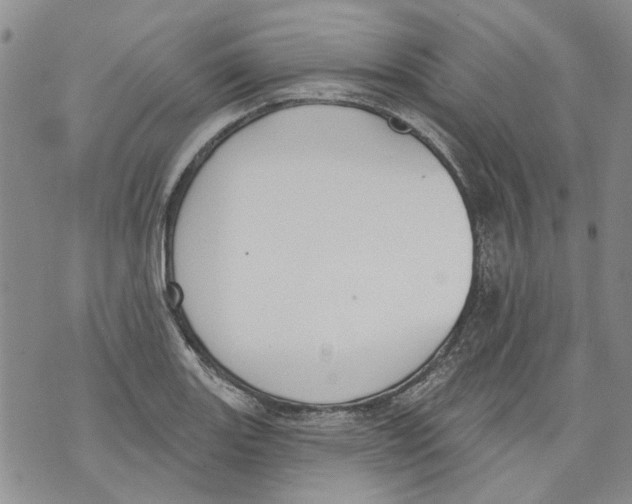 X0000071771131200607282206