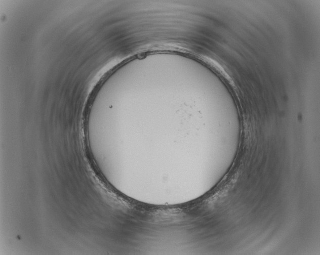 X0000071771133200607282206