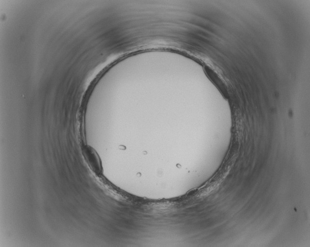 X0000071771134200607282206