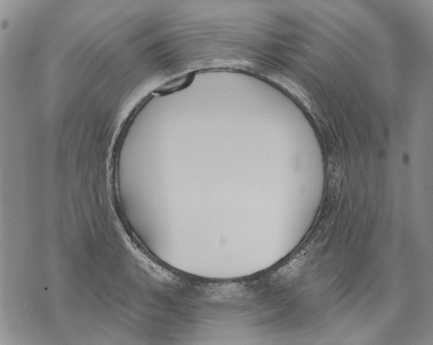 X0000071771135200607282206