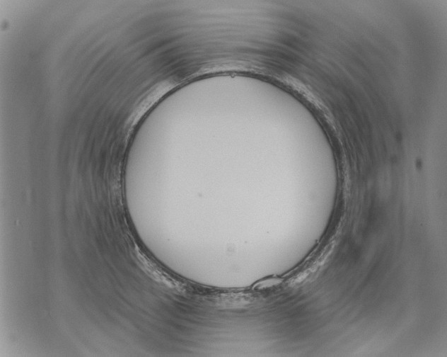 X0000071771137200607282206