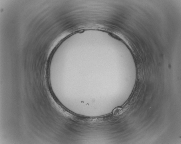 X0000071771139200607282206