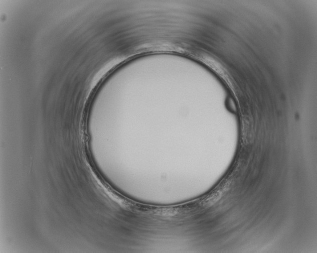 X0000071771141200607282207