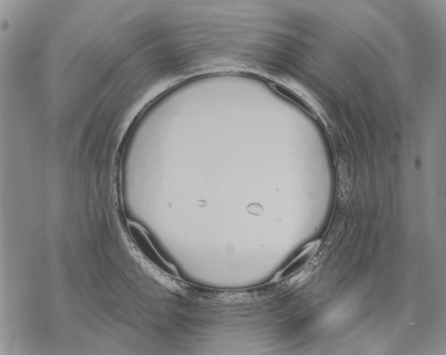 X0000071771142200607282207