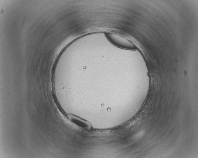 X0000071771143200607282207