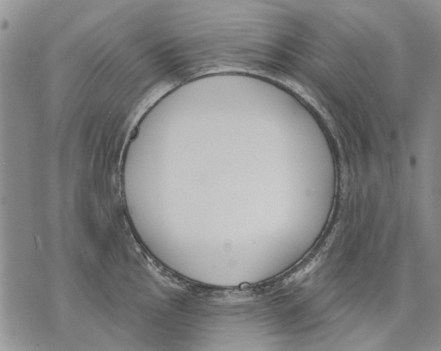 X0000071771145200607282207