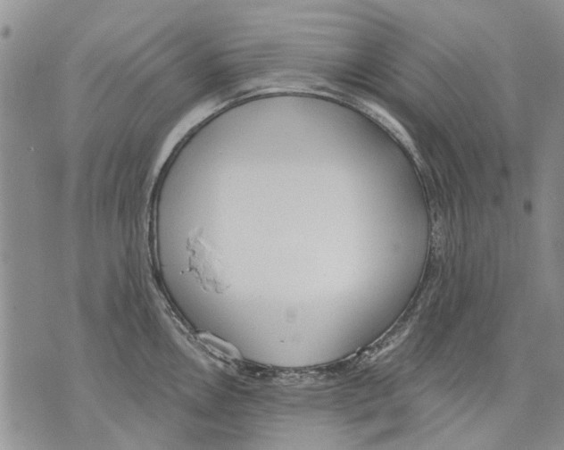 X0000071771146200607282207