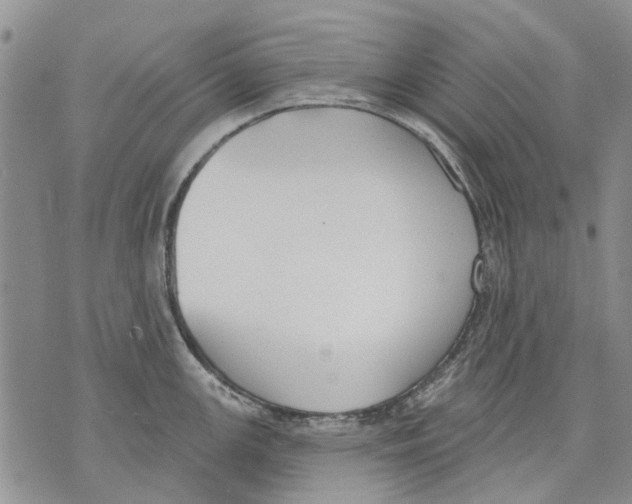 X0000071771147200607282207