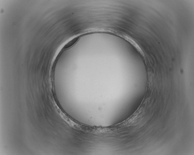 X0000071771148200607282207