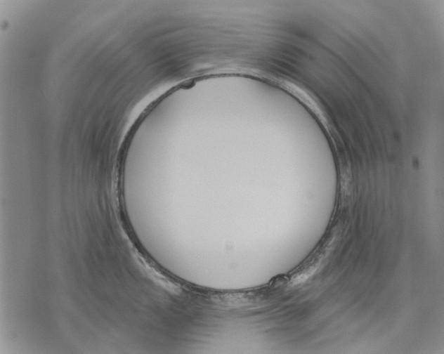 X0000071771149200607282207