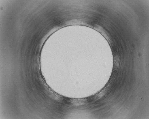 X0000071771150200607282207