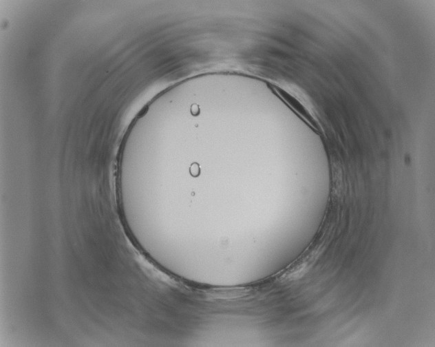 X0000071771151200607282207