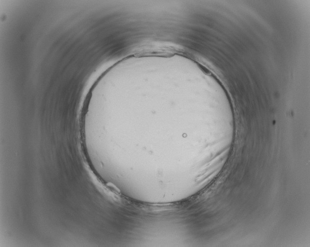 X0000071771152200607282207