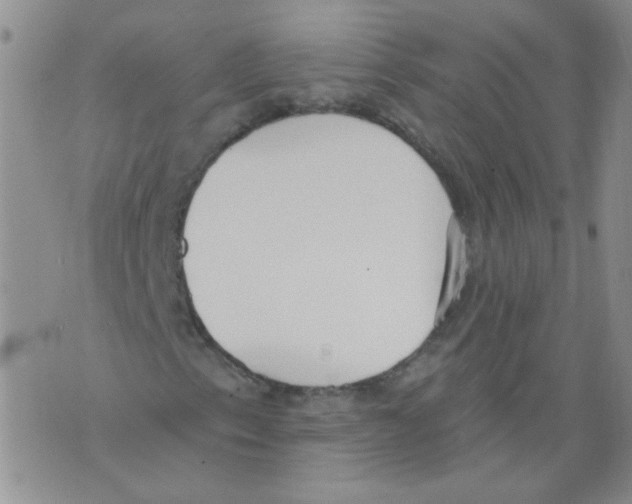 X0000071771153200607282206