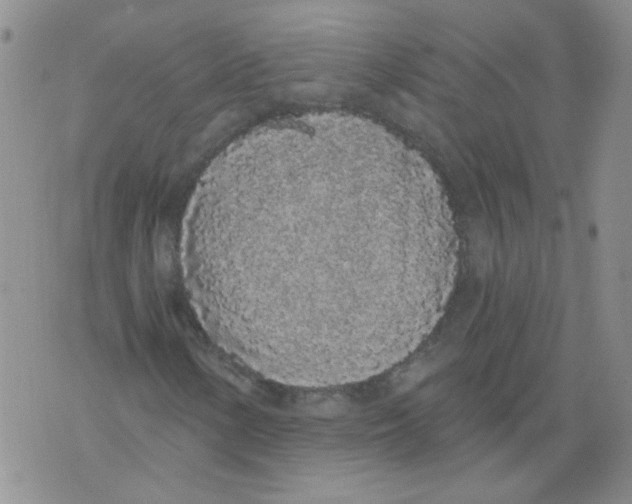 X0000071771154200607282206