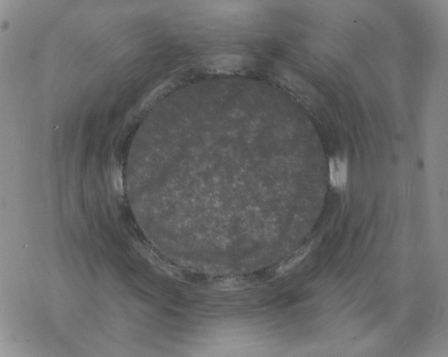 X0000071771155200607282206