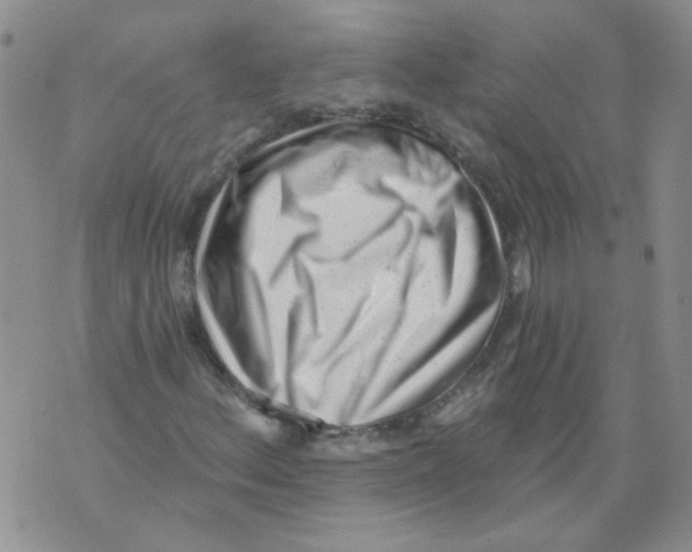 X0000071771156200607282206