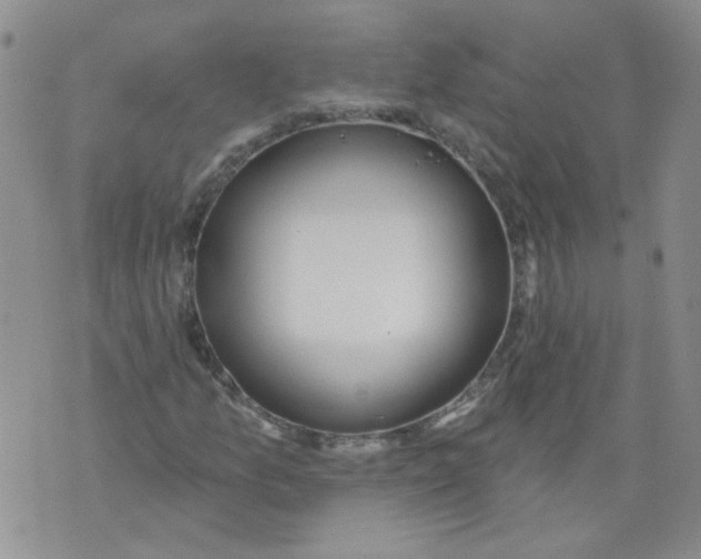 X0000071771157200607282206