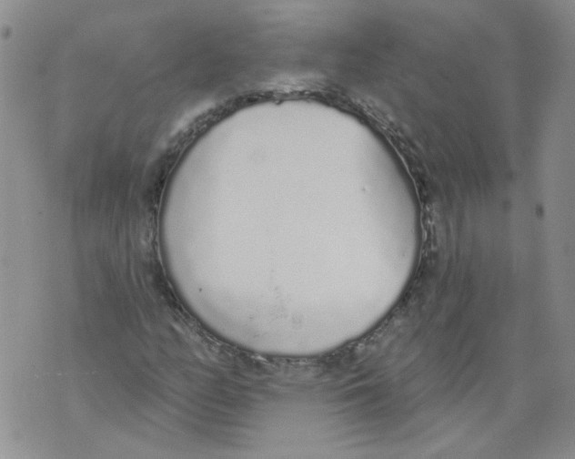 X0000071771158200607282206