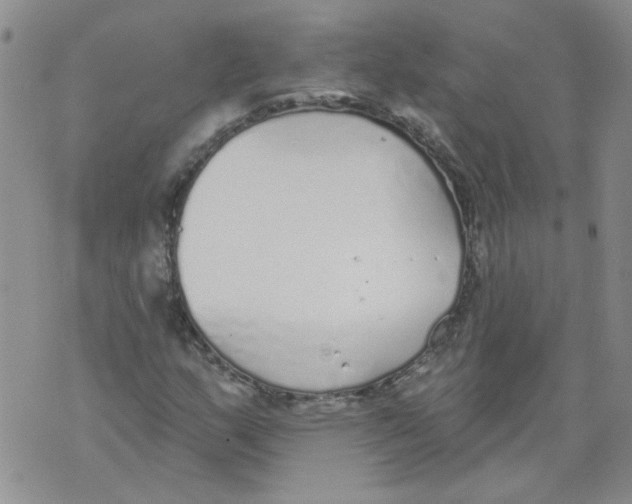 X0000071771159200607282206