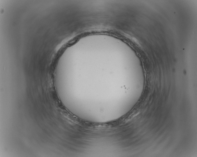 X0000071771160200607282206