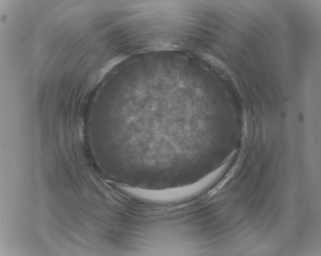 X0000071771161200607282206