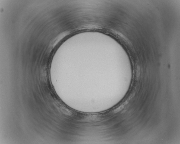 X0000071771162200607282206