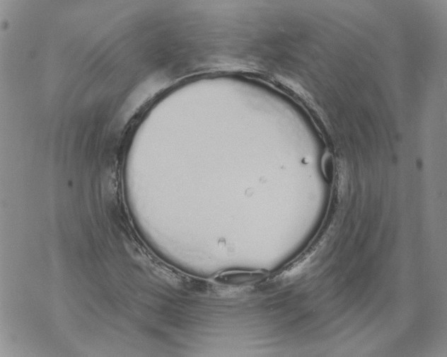 X0000071771163200607282206