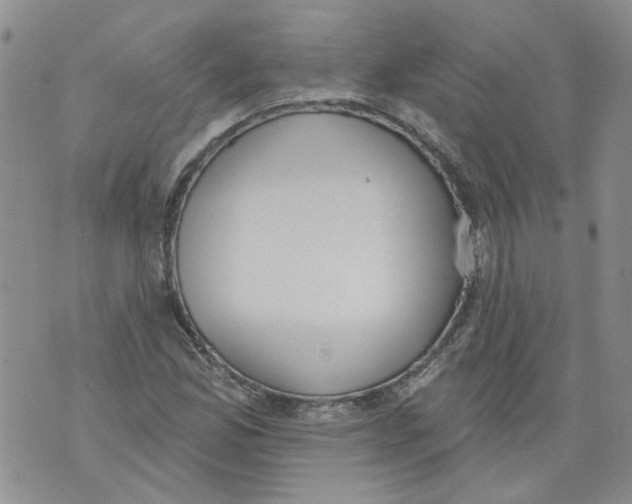 X0000071771165200607282206