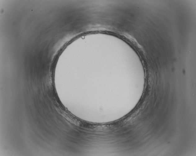 X0000071771167200607282206