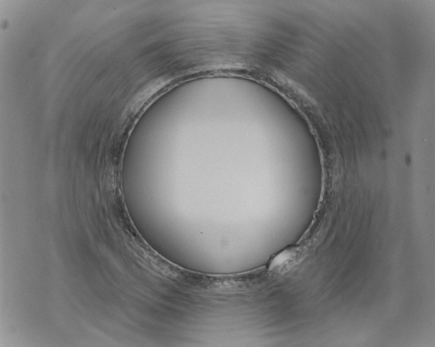 X0000071771169200607282206