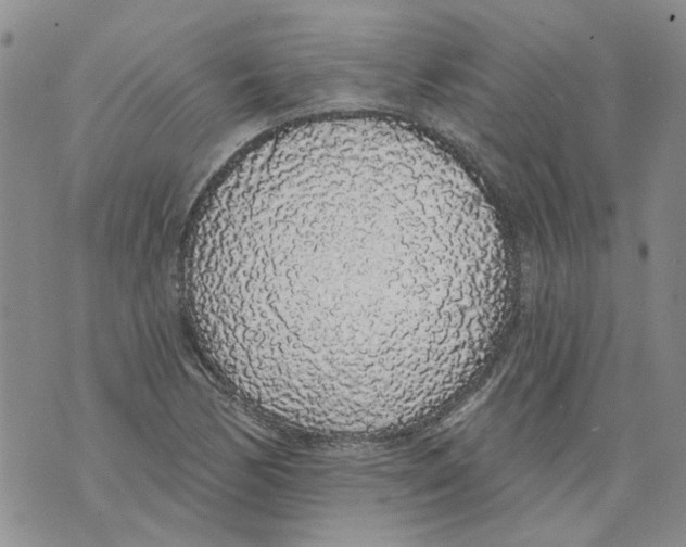 X0000071771170200607282206