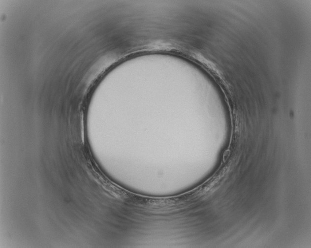 X0000071771171200607282206