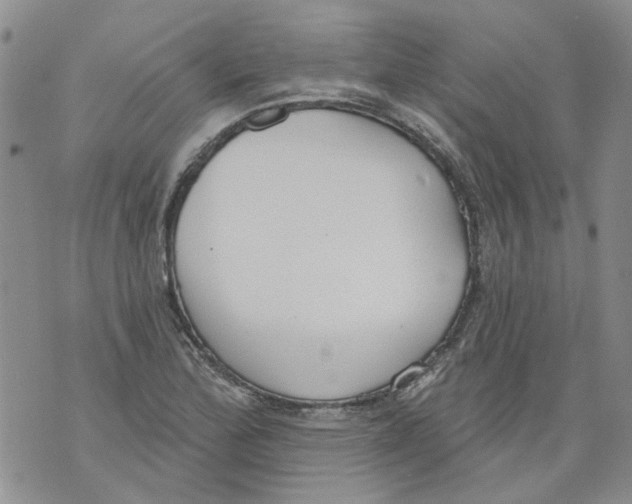 X0000071771172200607282206