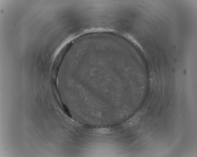 X0000071771173200607282206