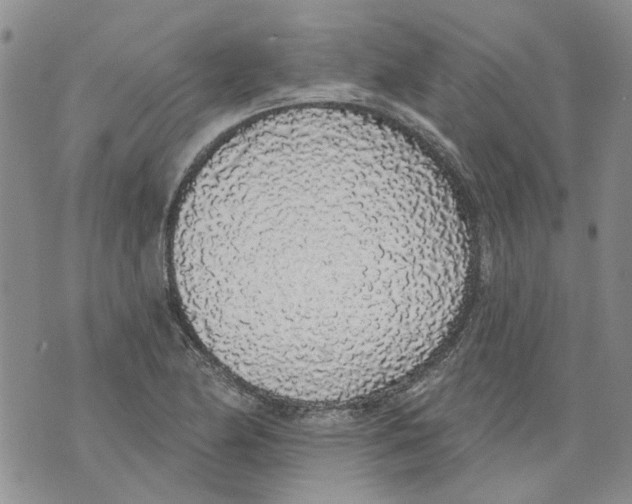 X0000071771174200607282206