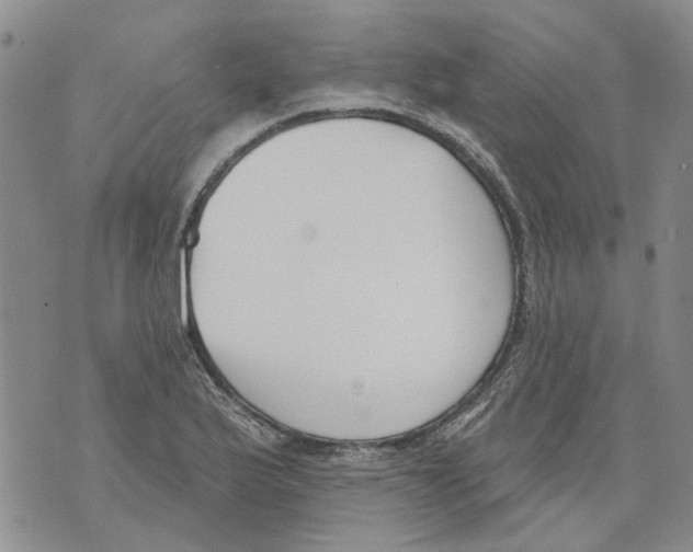 X0000071771175200607282206