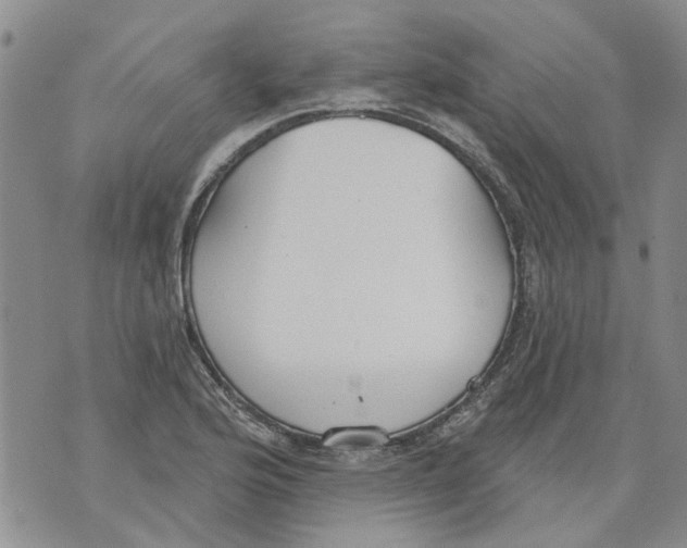 X0000071771176200607282206