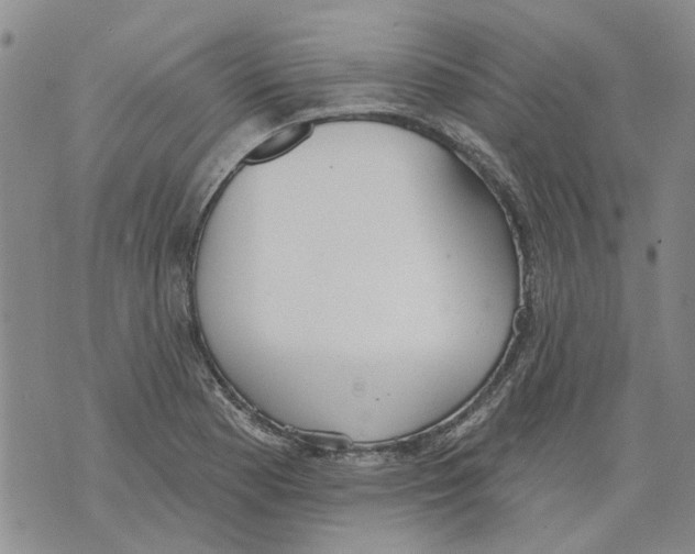 X0000071771177200607282206