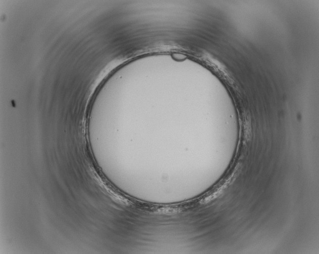 X0000071771178200607282205