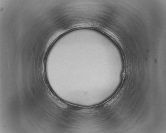 X0000071771179200607282205