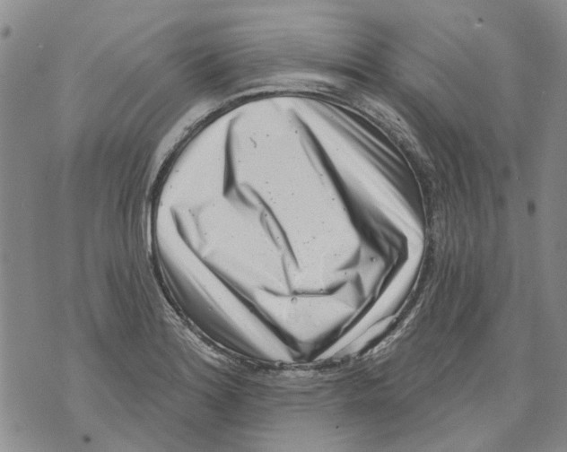 X0000071771180200607282205