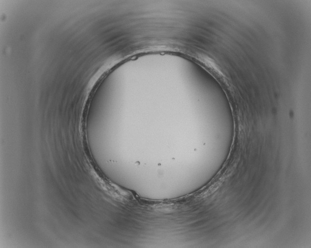 X0000071771181200607282205