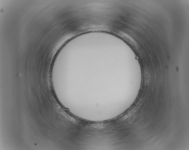 X0000071771182200607282205