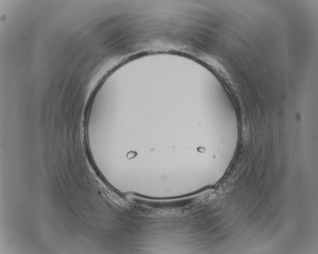 X0000071771183200607282205