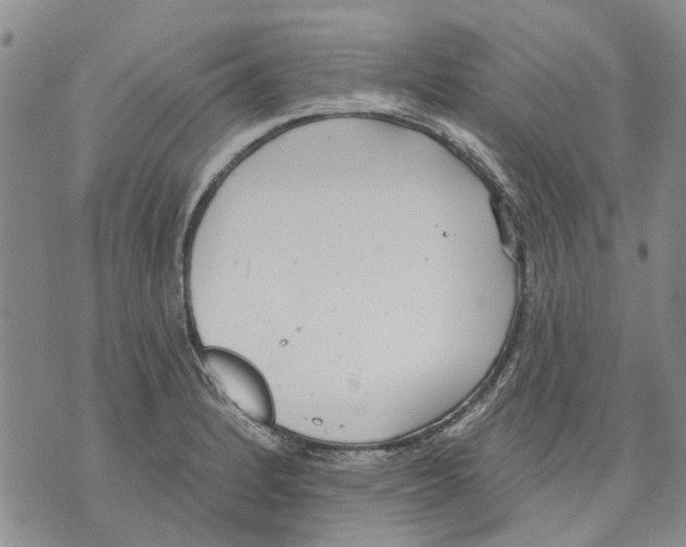 X0000071771184200607282205