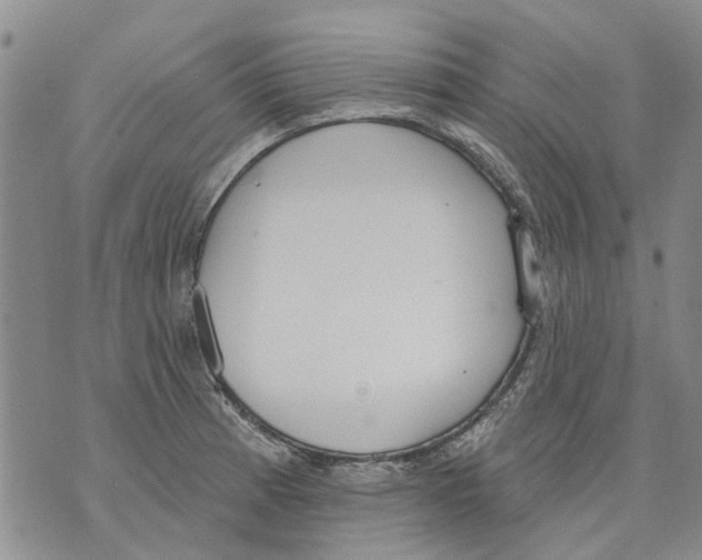 X0000071771185200607282205