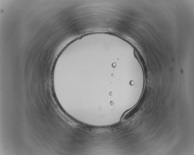 X0000071771187200607282205