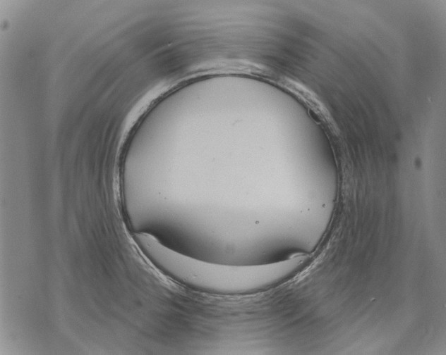 X0000071771188200607282205