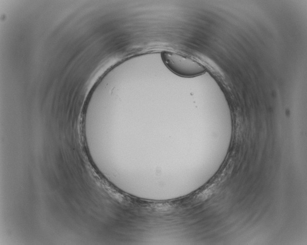 X0000071771190200607282205